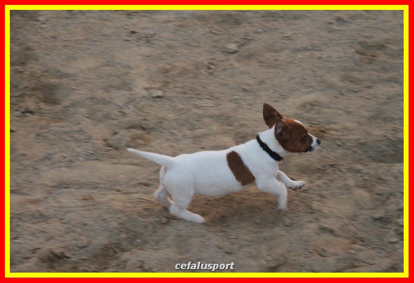 161106 equestre 170_tn.jpg